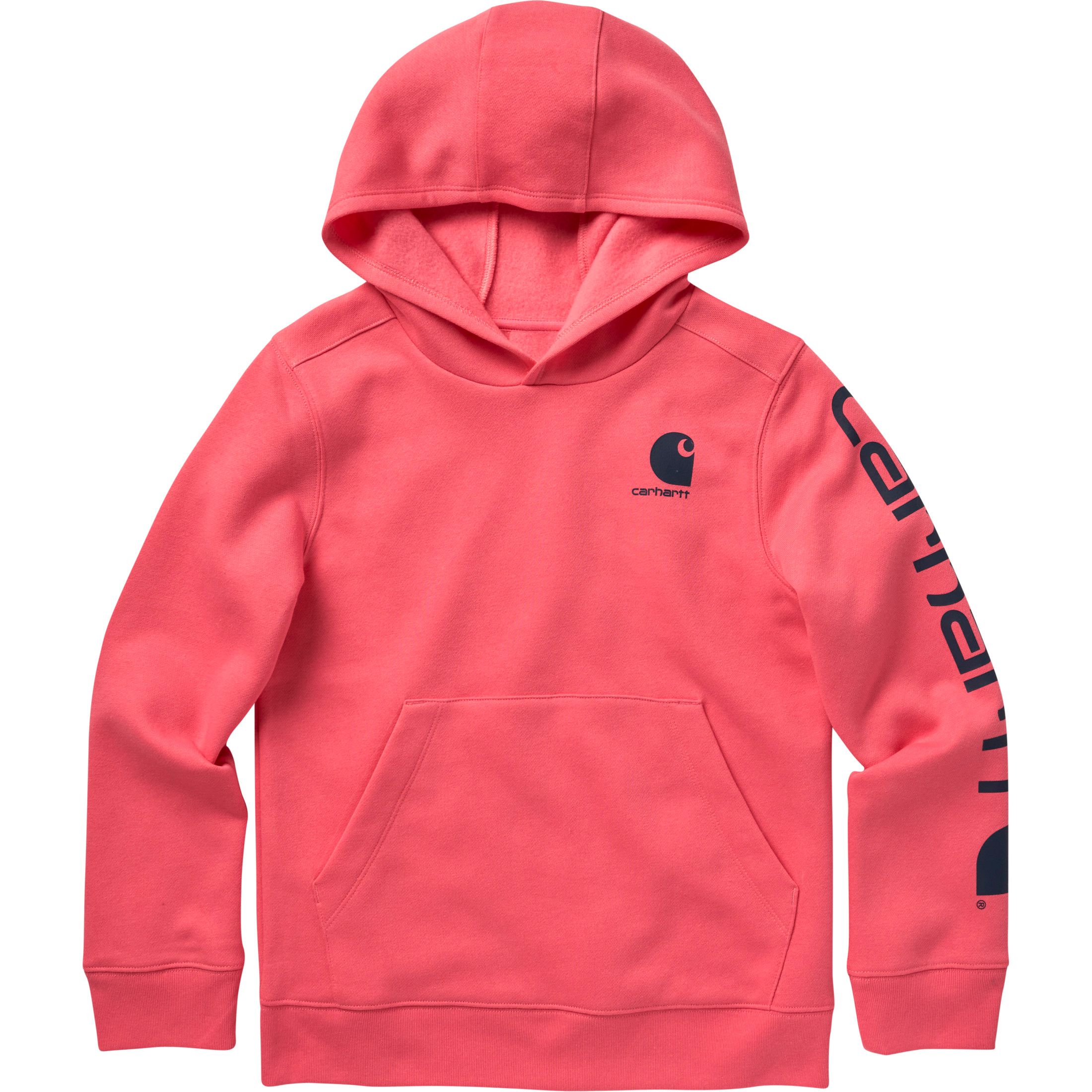 carhartt-kids-graphic-long-sleeve-hoodie-d970e1f3-d364-456f-b291-61ffb88fb64e-jpgrendition